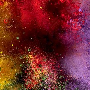 Meet your Posher, Cambria